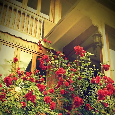Casa Le Rose Апартаменты
