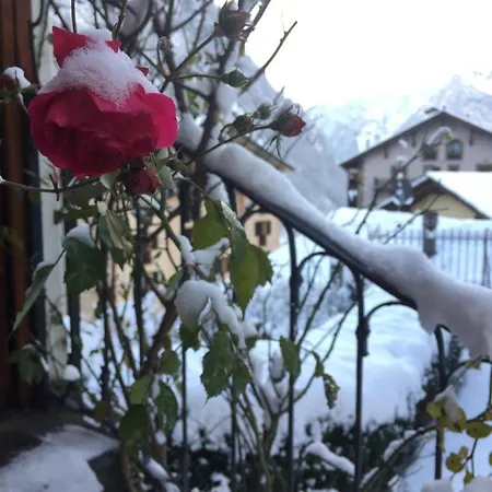 Casa Le Rose *